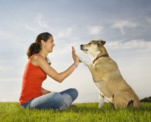 Read more about the article Money Saving Tips For Dog Owners