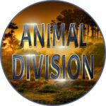 Animal Division