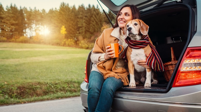 Read more about the article Traveling with Pets